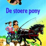 De stoere pony