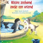 Kleine zeehond zoekt een vriend