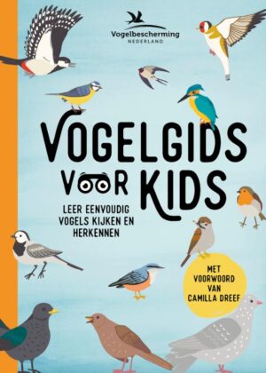 Vogelgids voor kids