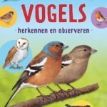 Vogels herkennen en observeren