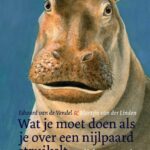 Wat je moet doen als je over een nijlpaard struikelt