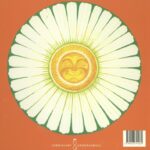 Het huisje dat verhuisde - Afbeelding 2