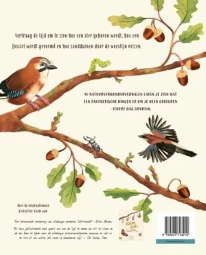 Kalm aan ... en kijk om je heen - Afbeelding 2