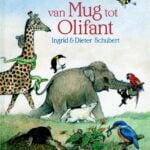 Van mug tot olifant
