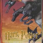 Harry Potter en de orde van de Feniks