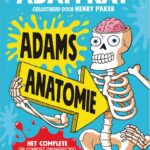 Adams anatomie