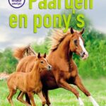 Superleuke weetjes over paarden en pony’s