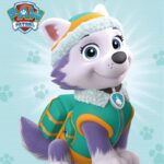 AVI - PAW Patrol, Everest redt de dag