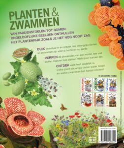 Lannoo's grote encyclopedie van planten en zwammen - Afbeelding 2