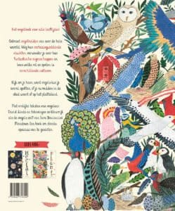 Vlieg - Afbeelding 2