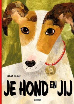Je hond en jij