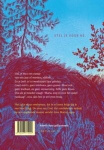 Maria's kerstverhaal - Afbeelding 2