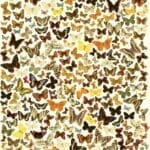 XL-Spelposter Stratier — Vlinders Dubbelgangers