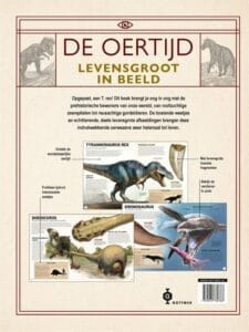 De oertijd levensgroot in beeld - Afbeelding 2