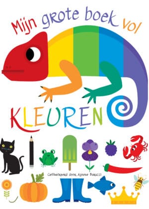Mijn grote boek vol kleuren