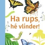Ha rups, hé vlinder!