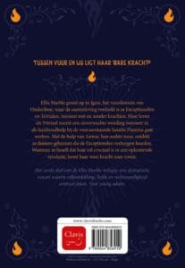 De bevroren vlammenzee - Afbeelding 2