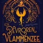 De bevroren vlammenzee