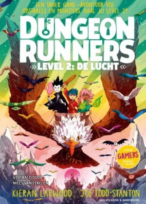 Dungeon Runners - Level 2: De lucht