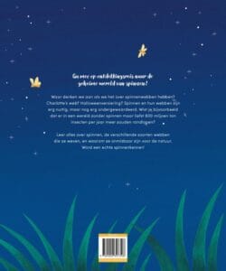 De geheime wereld van spinnenwebben - Afbeelding 2