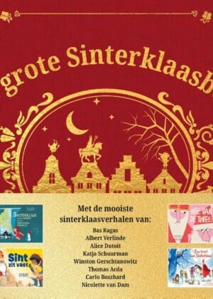 Het grote Sinterklaasboek
