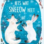 Iets wat sneeuw heet