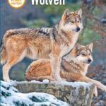 Wolven