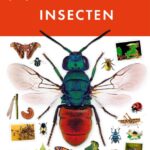 Insecten
