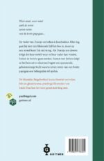 De zeven veren van de papegaai - Afbeelding 2