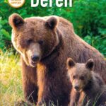 Beren