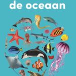 Het kleine boek over de oceaan