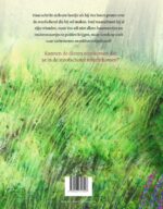 Hazenoortjes - Afbeelding 2