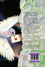 Harry Potter en de steen der wijzen - Afbeelding 2