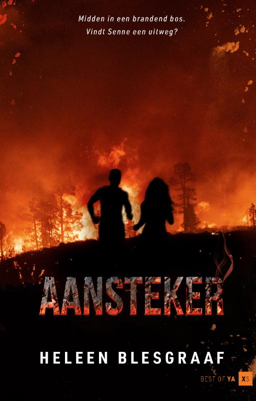 HeleenBlesgraaf_aansteker_cover def.indd Aansteker - Afbeelding 1