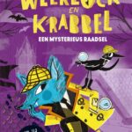 Een mysterieus raadsel