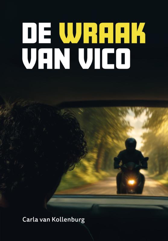 9789048756711_front-cover-standard.jpg De wraak van Vico - Afbeelding 1