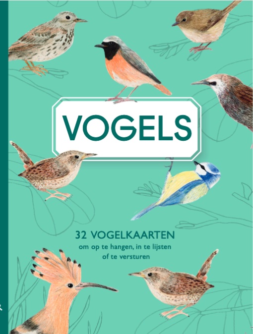 Screenshot Vogels - Afbeelding 1