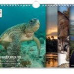 WNF familie planner 2027
