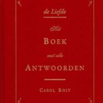 De Liefde - boek met alle antwoorden - mini
