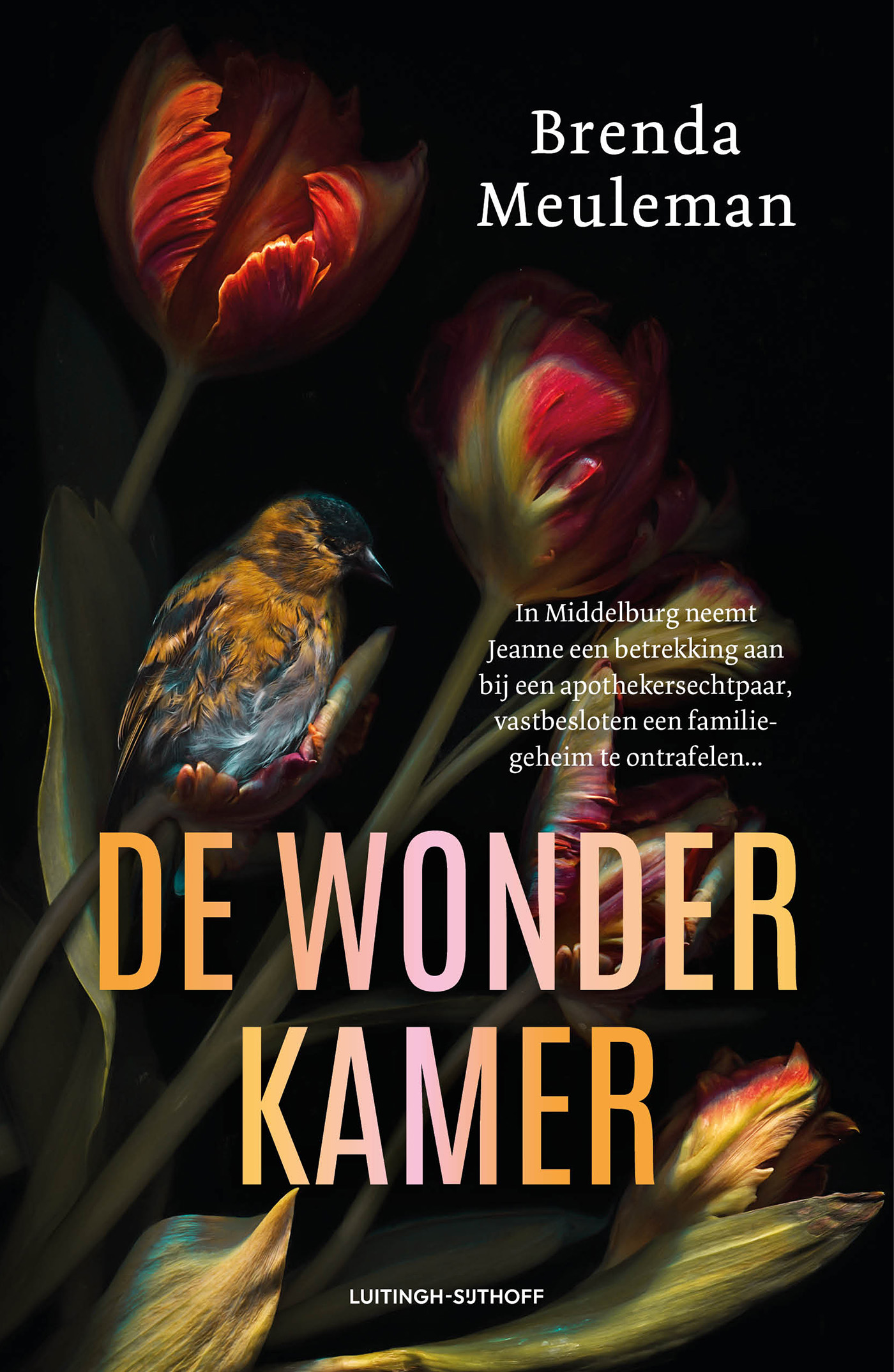 9789021059167_front-cover-standard.jpg De wonderkamer - Afbeelding 1
